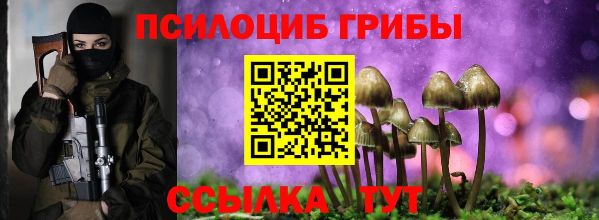 Галлюциногенные грибы прущие грибы  Вход с VPN  Ейск 