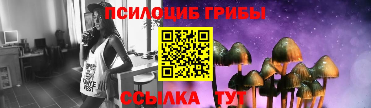 Галлюциногенные грибы GOLDEN TEACHER Ейск